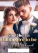 Snatched-a-Billionaire-to-be-My-Husband-Cora-Lane-Novel