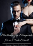 mistaking-a-magnate-for-a-male-escort